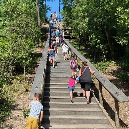 Les Pieds Dans Le Sable