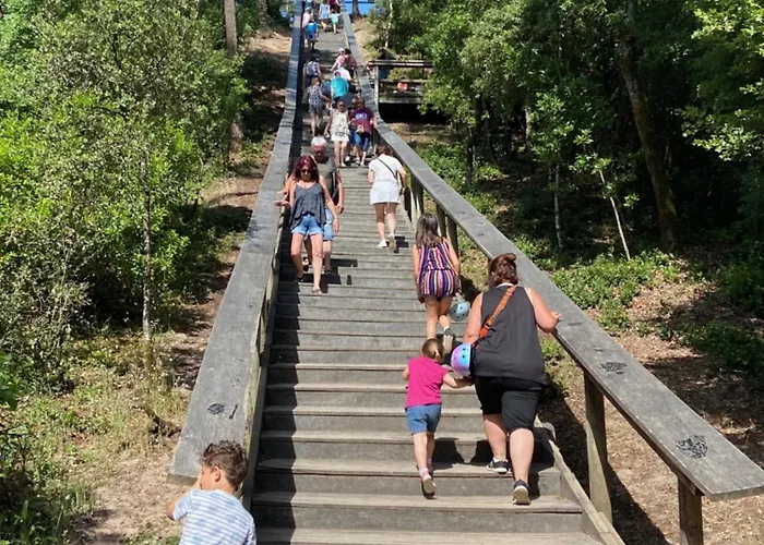 Les Pieds Dans Le Sable